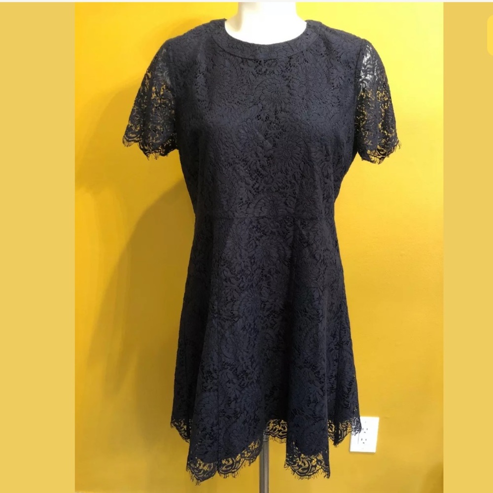 Madewell midnight  Lace Dress Size 10 Fit Flare